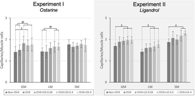 Ostarine (MK2866/Enobosarm) Before and After Deep Dive (with Bloodwork)