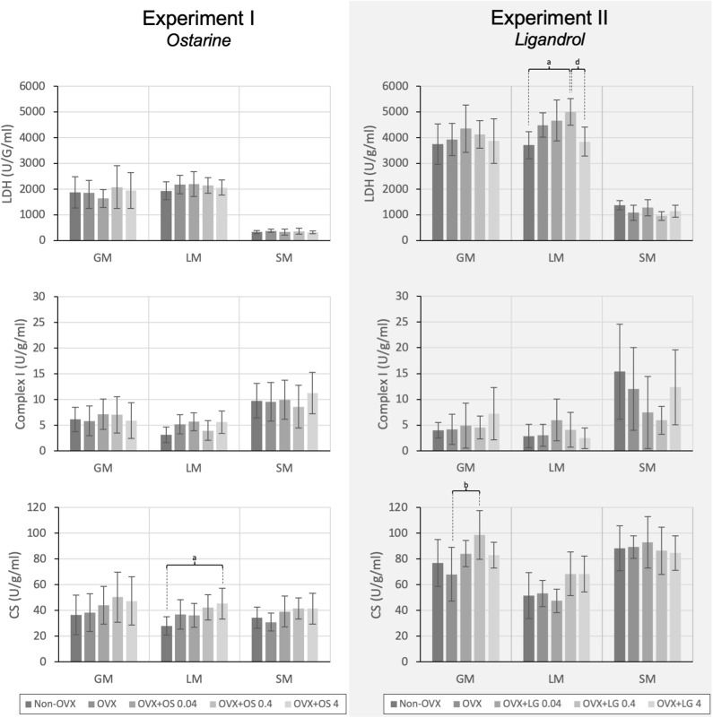 Ostarine (MK2866/Enobosarm) Before and After Deep Dive (with Bloodwork)