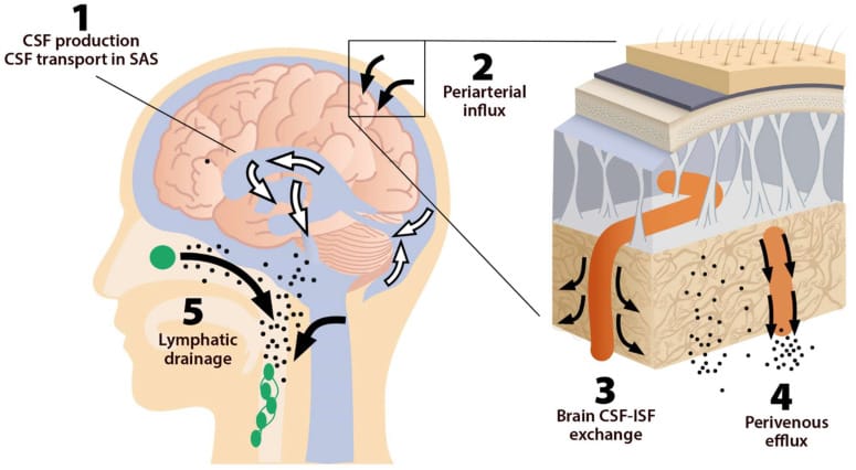 The Health Benefits of Infrared Light Therapy