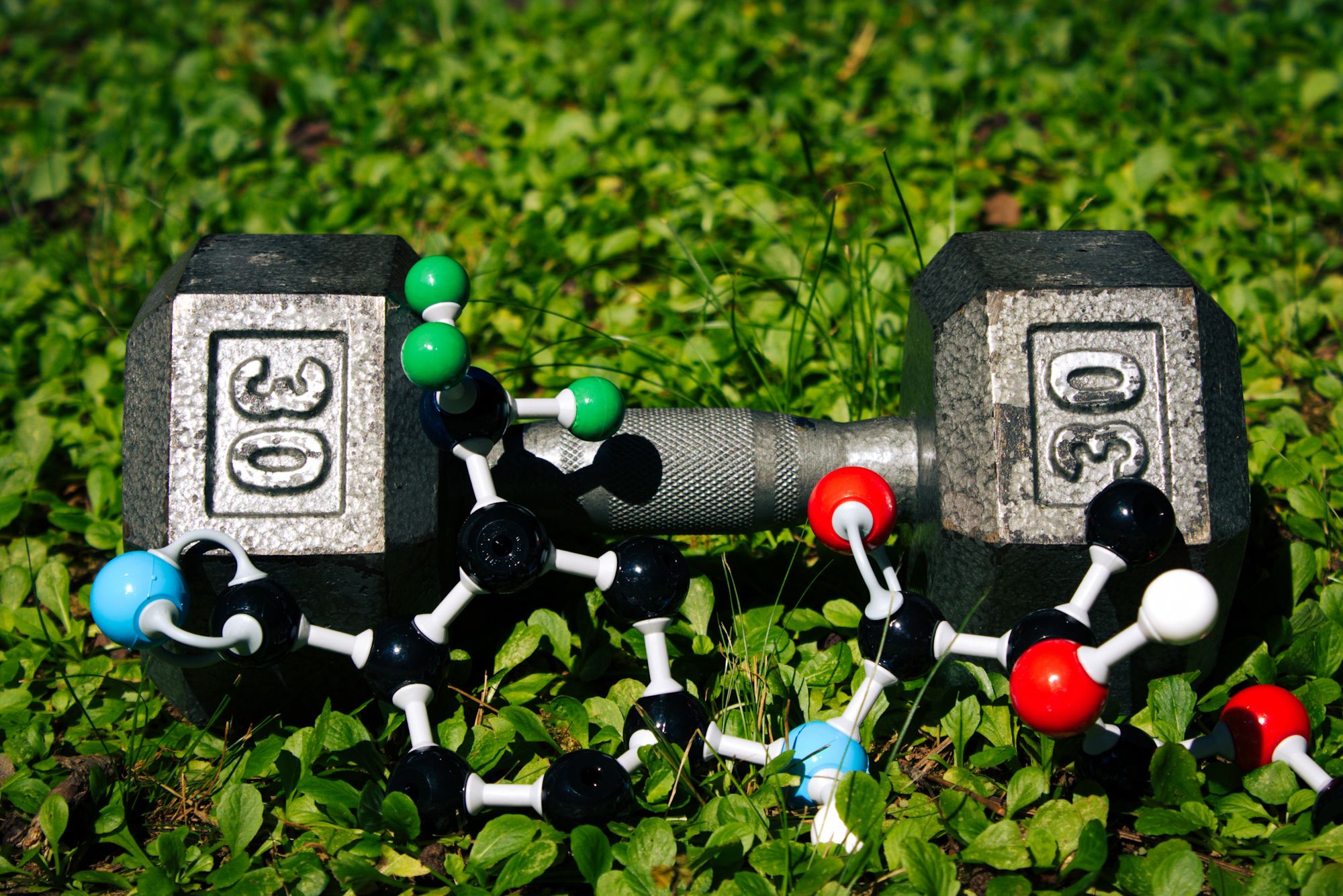 Chemical Structure of Enobosarm
